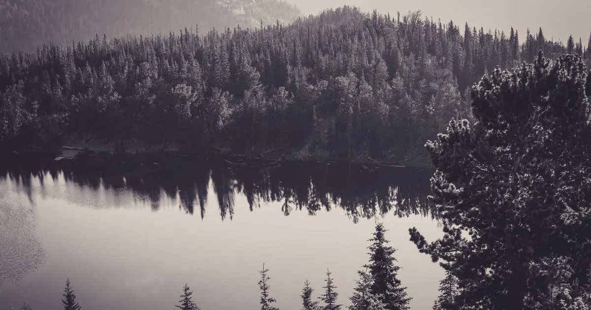 Dispatch Copilot dashboard showing route optimization and tech schedules