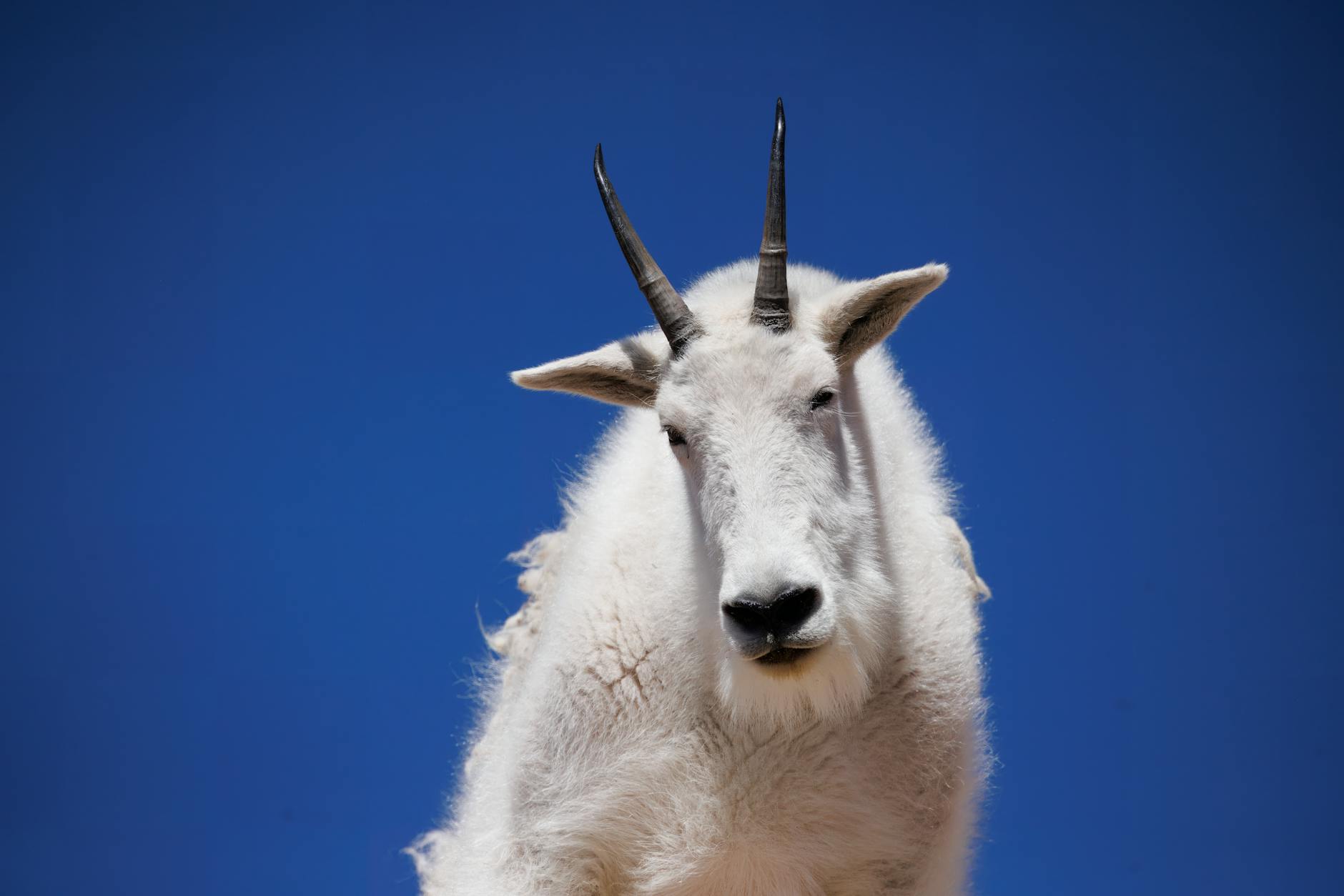 Colorado Springs skyline - Google Business Profile optimization