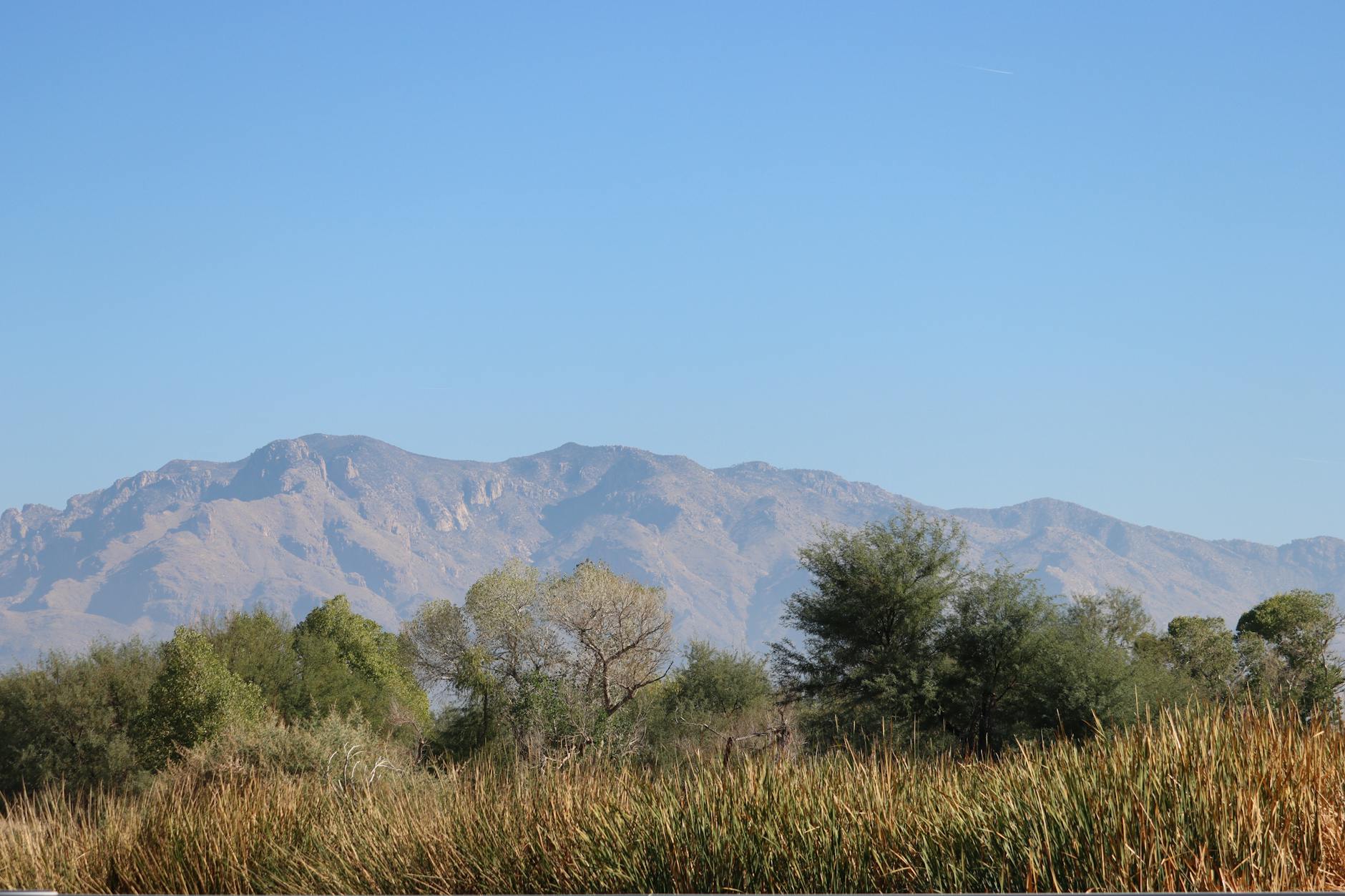 Tucson skyline - Google Business Profile optimization