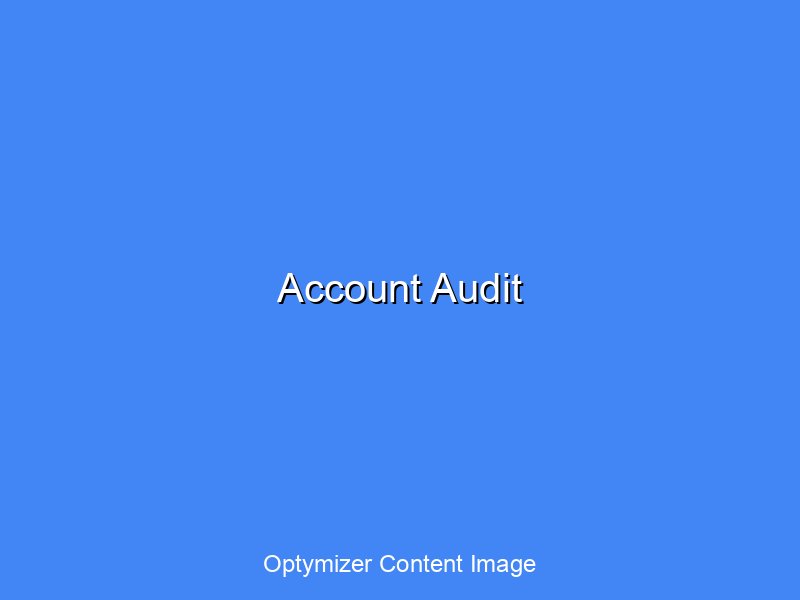 PPC account audit dashboard showing campaign performance